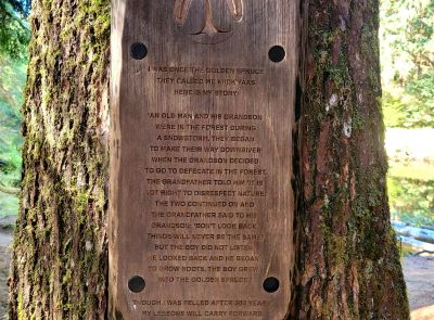 Golden Spruce Legend