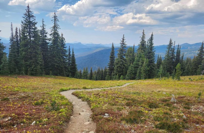 manning park heathertrail 