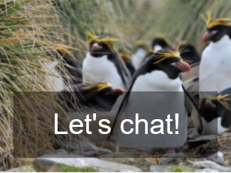 Let's Chat - contact by email